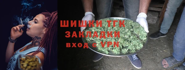 ECSTASY Богданович