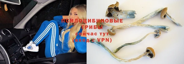 MESCALINE Богородицк