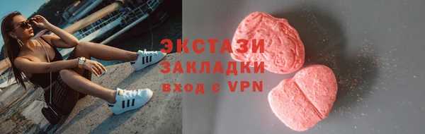 ECSTASY Богданович