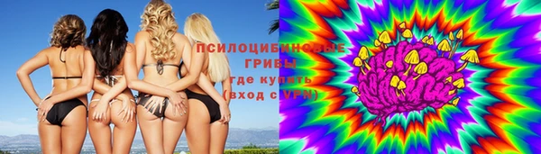 ECSTASY Богданович