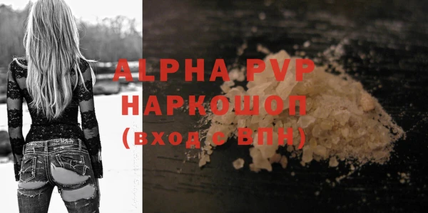 ECSTASY Богданович
