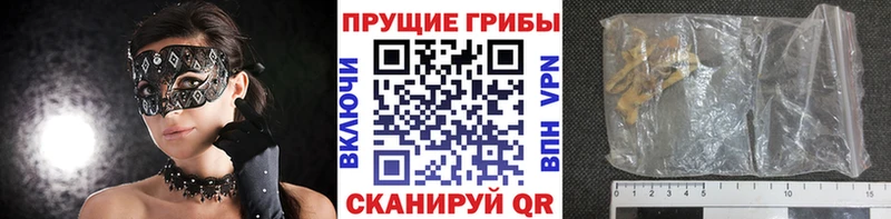 Псилоцибиновые грибы ЛСД Томск